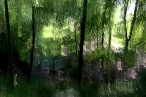 Sasietaren argazkiek margolan inpresionistak ekartzen dituzte gogora. 