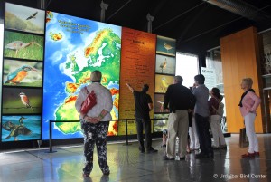 URDAIBAI BIRD CENTER-ERAKO SARRERAK URDAIBAI BIRD CENTER-ERAKO SARRERAK