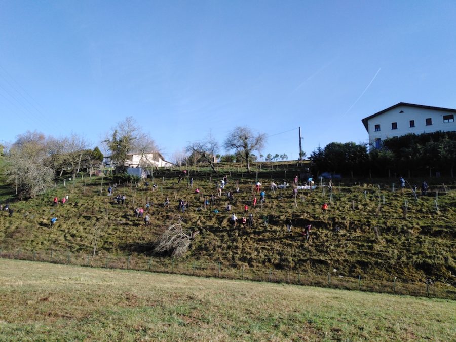 Errekatxulo