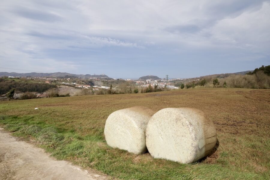 Antondegi