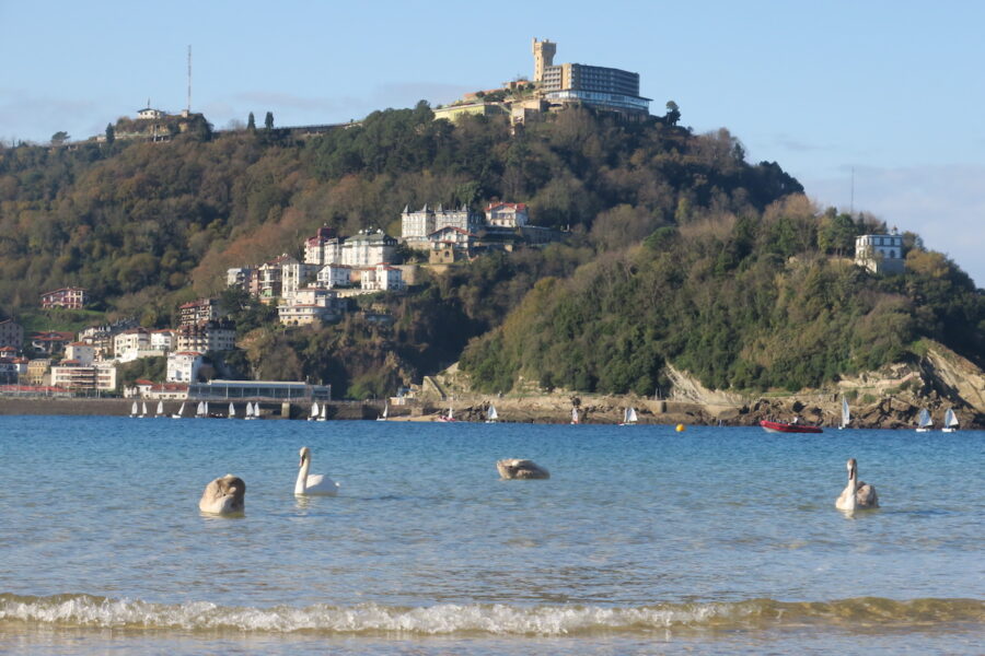 beltxargak donostia