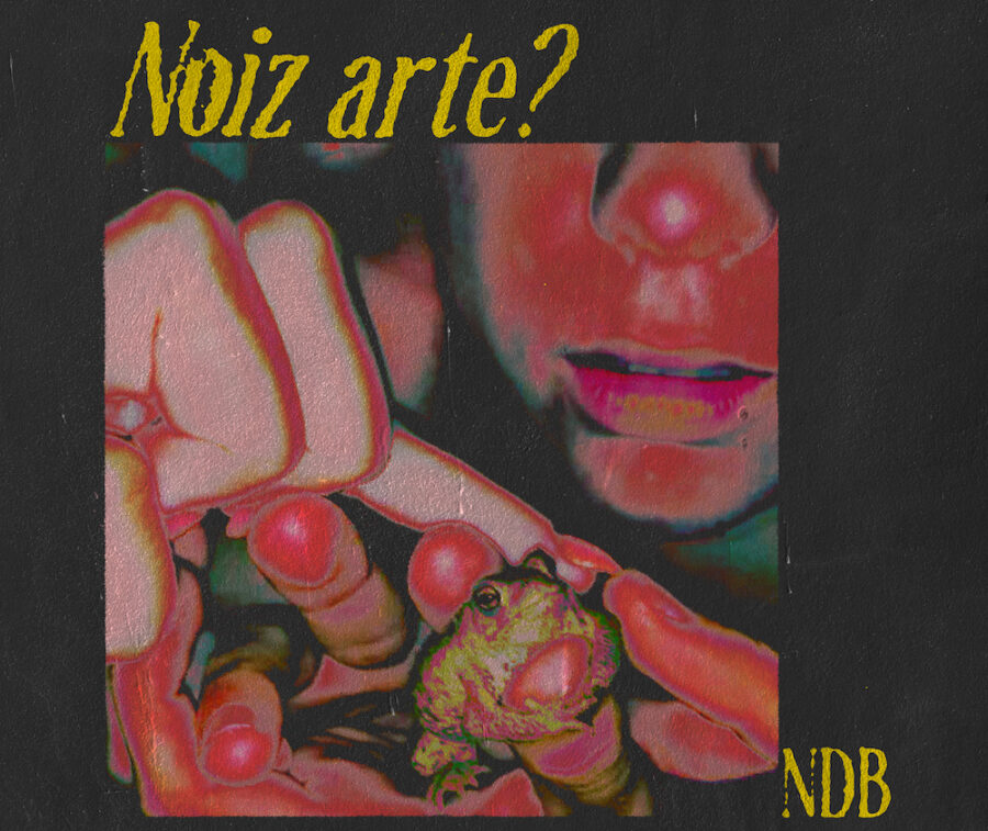 NOIZ ARTE, PORTADA