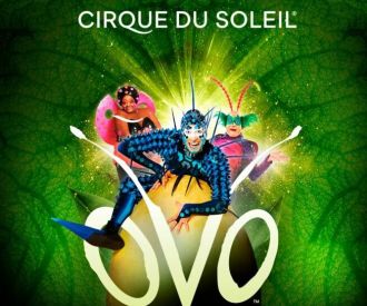 Cirque du Soleil