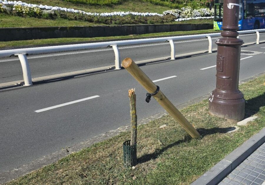 malizkak hondatuta