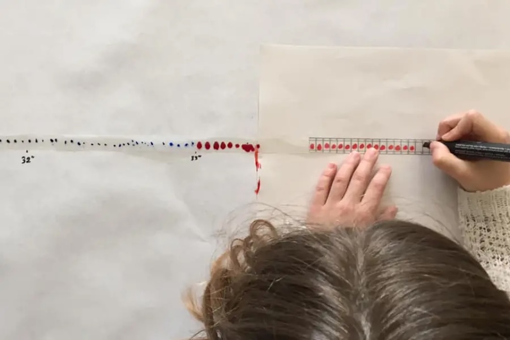 Harrobideo zinemagintza tailerra