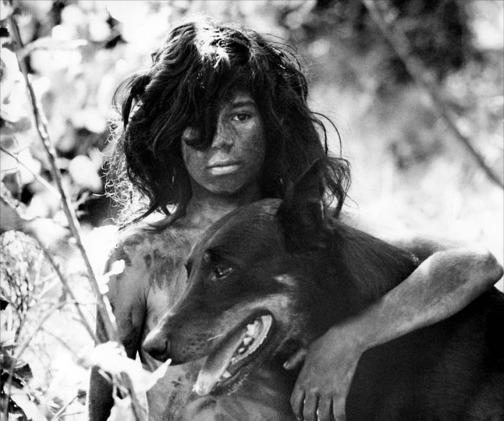 _L_enfant_sauvage__filma