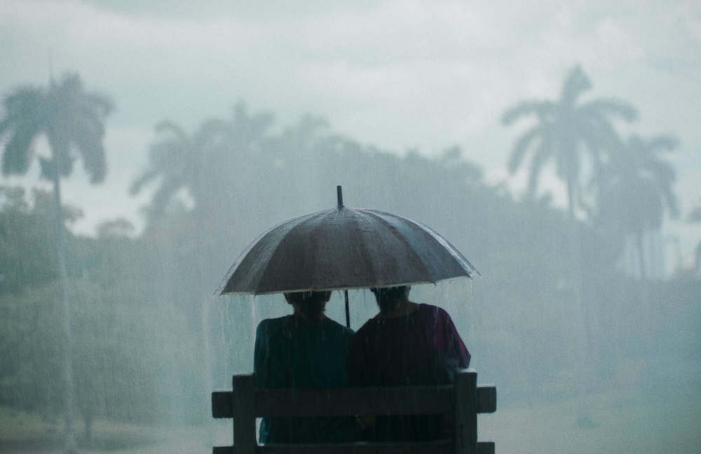 _Queridos_tr_picos__filma