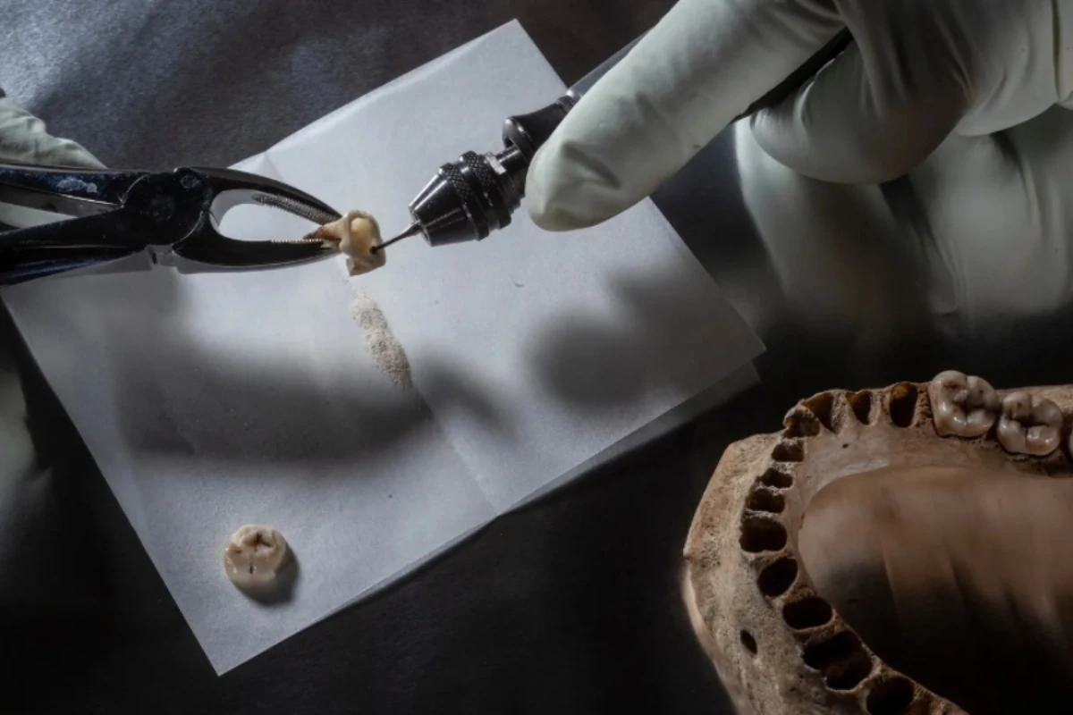 Aranzadi jardunaldiak