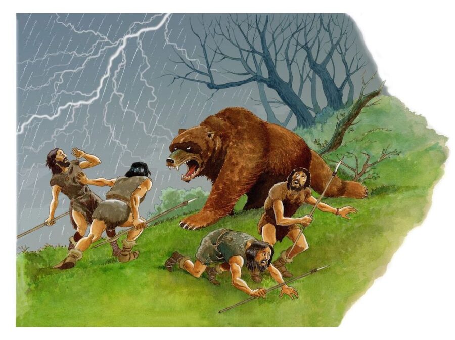 berzosa ilustratzailea