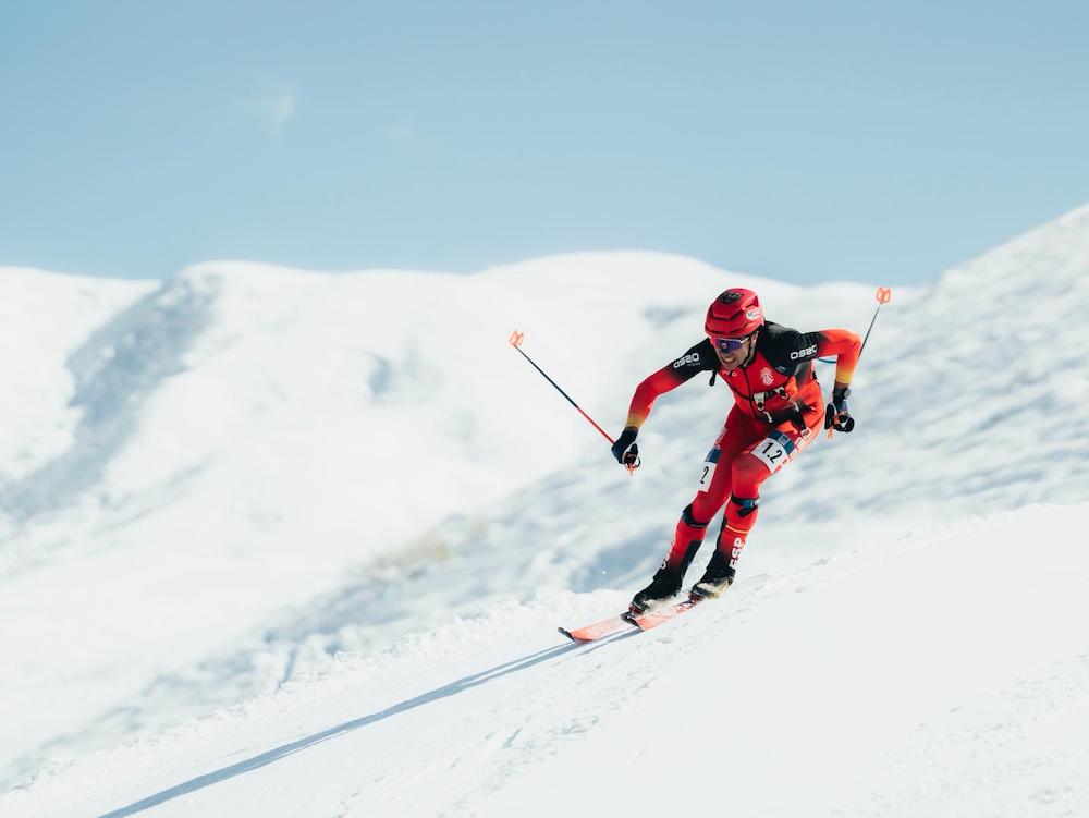 Martinez de Albornoz